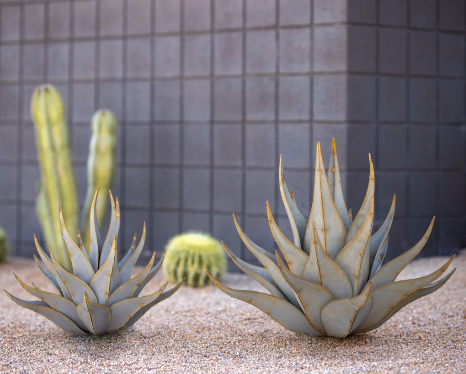 Sharkskin Agave | Metal Landscape Art | Desert Steel