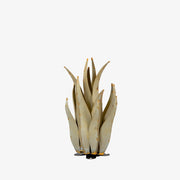 A metal emperor agave sculpture in size small in a white background. Featuring a handcrafted, metallic design with a lifelike appearance.