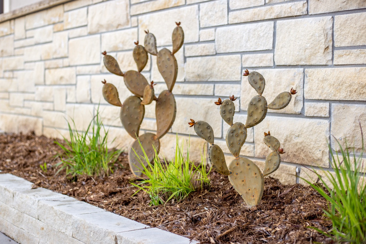 Two handcrafted realistic tall and small metal prickly pear cactus planted into soil in a yard.