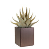 Planter (XL Sharkskin)